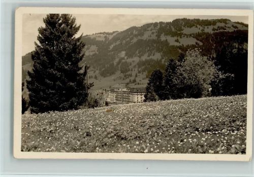1854 Leysin - Blühende Wiese