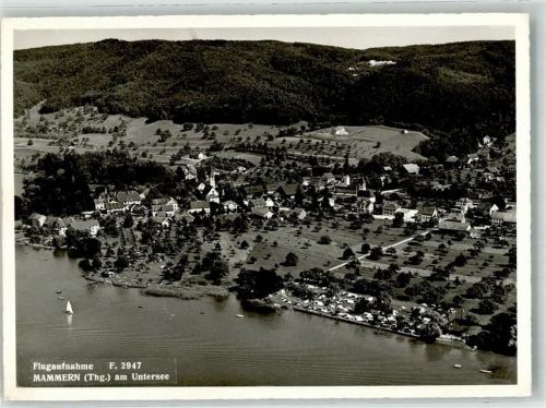 8265 Mammern 1959 Foto AK Fliegeraufnahme
