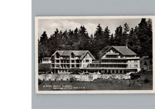 Thun (CH)Pension Waldheim