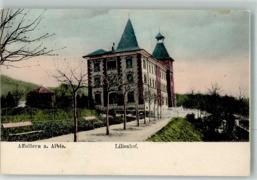 8910 Affoltern am Albis 1924 Foto AK Lilienhof