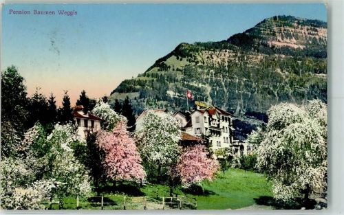 6353 Weggis 1915 - Pension Baumen Baumblüte