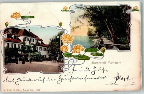 8265 Mammern 1906 - Kuranstalt Jugendstil