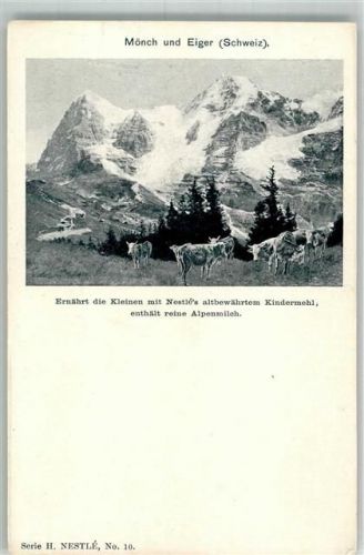 Eiger Ostegg Foto AK Mönch Eiger Kühe Werbung Alpenmilch Nestlé