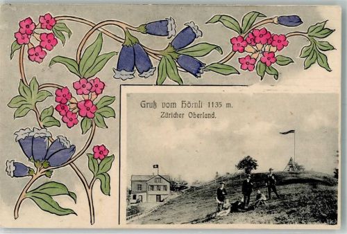 8497 Fischenthal 1911 Foto AK Gasthaus Hörnli Jugendstil