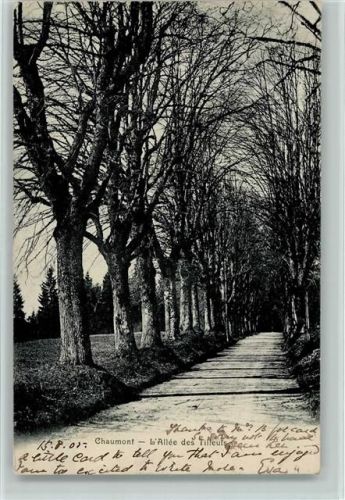 2067 Chaumont 1905 - L'Allee des Tilleuls