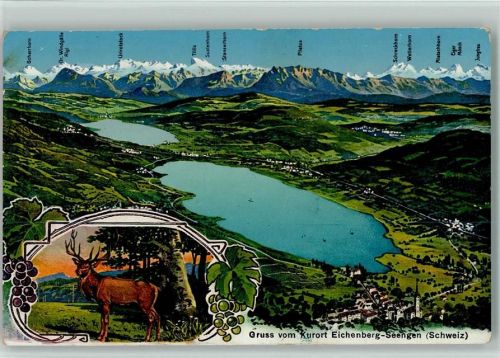 5707 Seengen - Vogelperspektive Hirsch