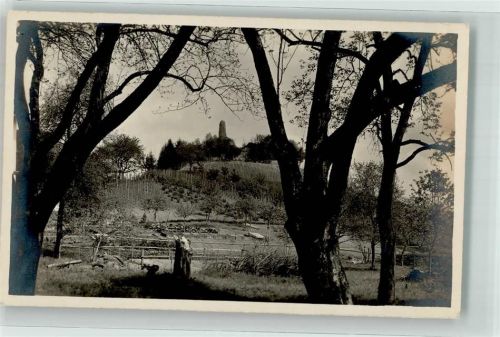 8105 Regensdorf Foto AK Ruine Altenburg Foto Gaberell