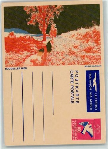 9491 Ruggell Ganzsache Ruggeler Ried Bruno Kaufmann Luftpost Ganzsache Künstlerkarte