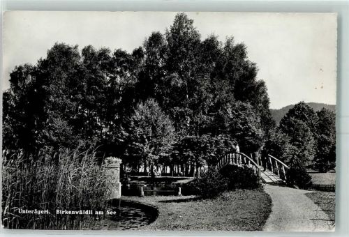 6314 Unterägeri - Birkenwäldli am See