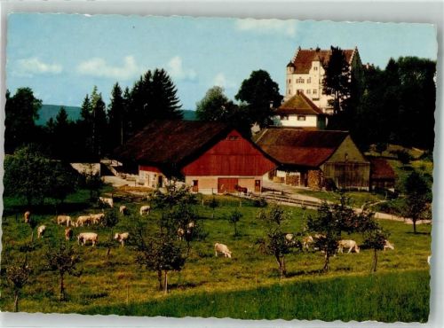 9507 Stettfurt Foto AK Schloss Sonnenberg