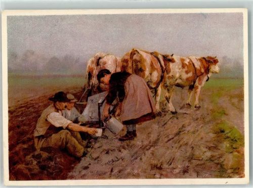 Rinder Pflug Bauern sign. Bachmann Hans Nr.5 Pro Infirmis Schweiz Künstlerkarte