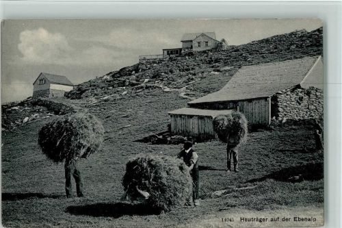 Ebenalp 1910 - Heuträger auf der Ebenalp , sehr gute Erhaltung AK