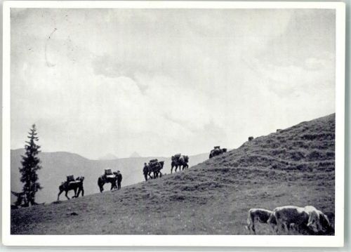 In Memoriam Gesellschaft Bahnpost Zug 1480 Pferde Kühe