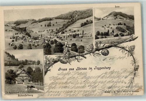 9622 Krinau 1905 Künstlerkarte Loo Schaufelberg Kühe sign. A. Bassharel
