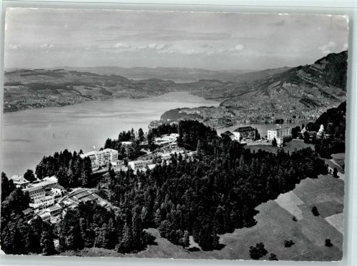 6363 Bürgenstock - Hotels mit Vierwaldstättersee Flugaufnahme