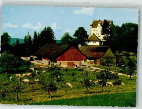 9507 Stettfurt Foto AK Schloss Sonnenberg