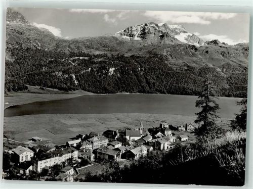 7513 Silvaplana - Verlag u. Fotograf Albert Steiner