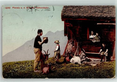 Planalp - Bauernfamilie mit ihren Ziegen