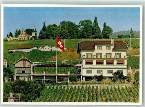 2012 Auvernier - Hotel Restaurant Bellevue Propr. E. Hotz Fahne Weinberge