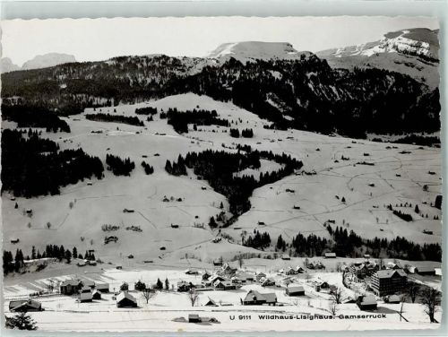 9658 Lisighaus - Gamserruck