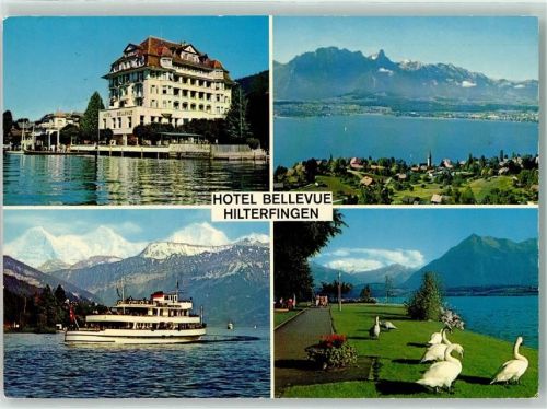 3652 Hilterfingen - Hotel Bellevue Dampfschiff Schwäne