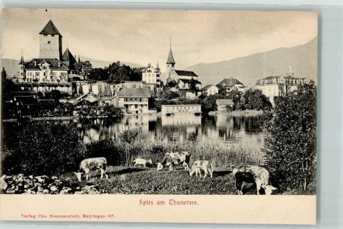 3700 Spiez - Schloss Kuhherde
