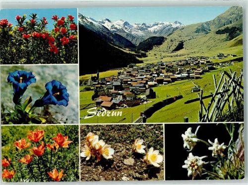 7188 Sedrun - Edelweiss Enzian Piz Badus