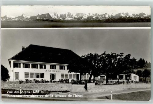 Vue des Alpes - Hotel la Vue des Alpes Terrasse