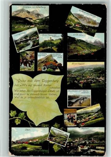 Toggenburg Gebrauchsspuren Wildhaus mit Schafberg Rietbad am Säntis Lichtensteig Burg Yberg Alt-St Johann Clubhütte Thierwies Ebnat-Kappel Churfirsten Nesslau Wattwil Unterwasser Stein