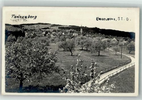 9032 Engelburg 1929 Foto AK Tannenberg