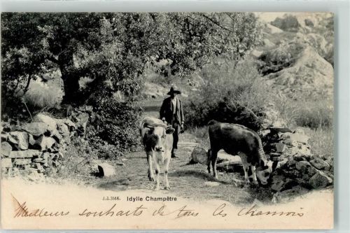 1854 Leysin 1903 - Bauern mit Kühen Ort lt. Stempel