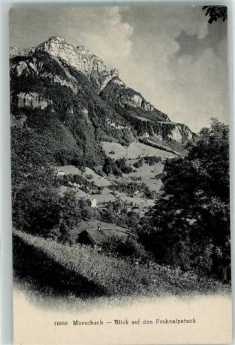 6443 Morschach - Blick auf den Frohnalpstock