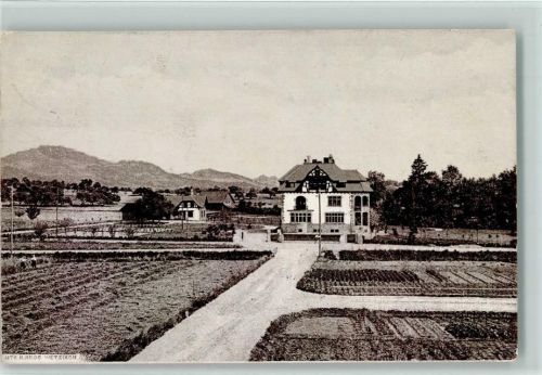 8620 Wetzikon ZH 1907