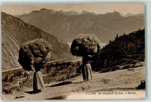 1922 Salvan 1916 - Transport du foin