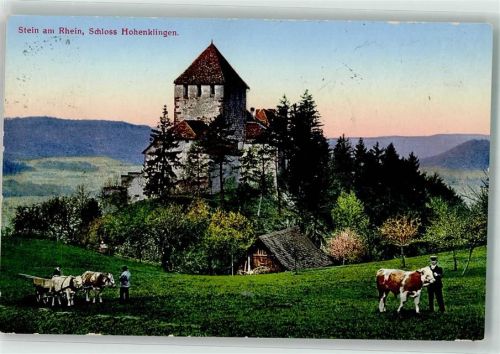 8260 Stein am Rhein - Kühe Schloss Hohenklingen Hüttenstempel