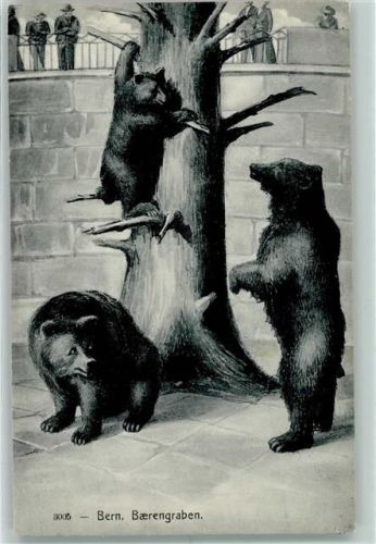 3000 Bern Berne - Bärengraben
