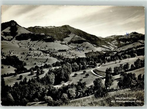 8638 Hintergoldingen Goldingen Foto AK Goldingertal Foto Gross