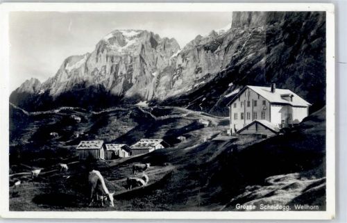 Wellhorn - Grosse Scheidegg Landwirtschaft