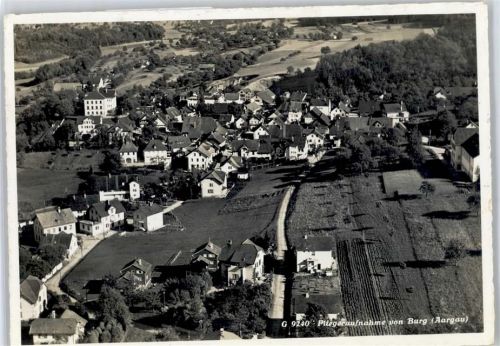 Burg - Fliegeraufnahme