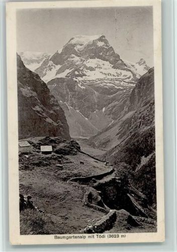 Tödi - Baumgartenalp mit Tödi