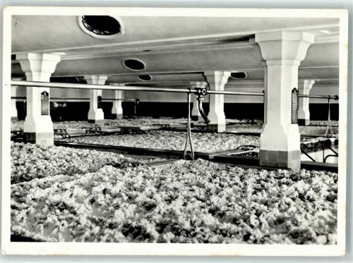 4310 Rheinfelden - Gärkeller Brauerei Feldschlösschen