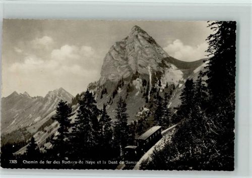 Dent de Jaman - Chemin de fer des Rochers de Naye et la Dent de Jaman