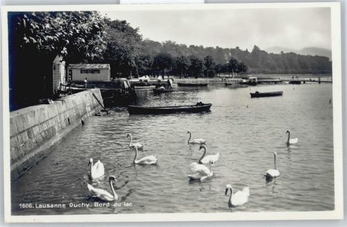 1000 Lausanne Losanna - Hafenquai, Schwan, Ouchy AKU2