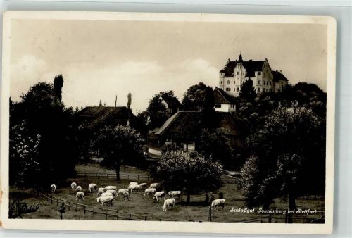 9507 Stettfurt Gebrauchsspuren Schlossgut Sonnenberg Kühe
