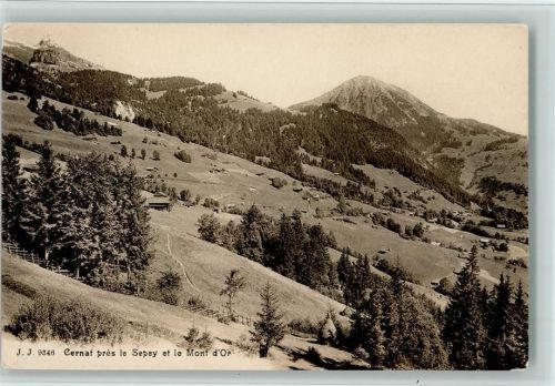 1863 Le Sépey Ormont-Dessous - Cernat près le Sepey et le Mont d'Or