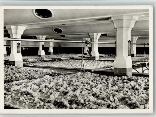 4310 Rheinfelden 1959 Foto AK Feldschlösschen, Gärkeller AK