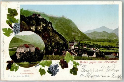 9490 Vaduz 1901 - Schloss