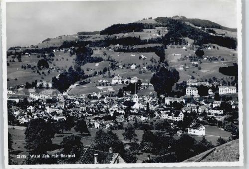 8636 Wald ZH - Bachtel