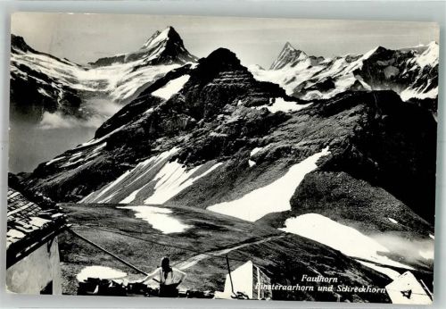 3818 Grindelwald 1971 - Hotel Faulhorn
