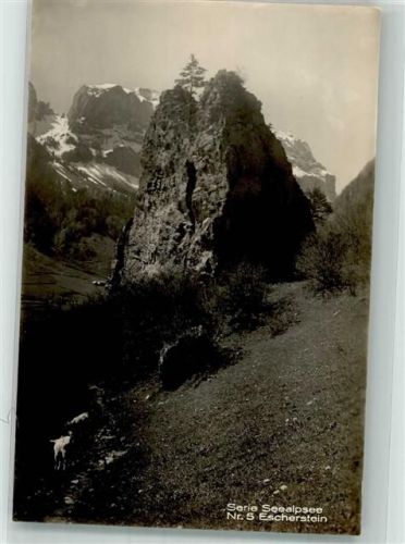 Seealpsee 1932 Foto AK Escherstein